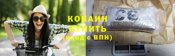 стаф Заводоуковск