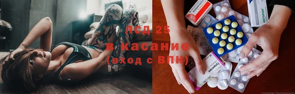 стаф Заводоуковск