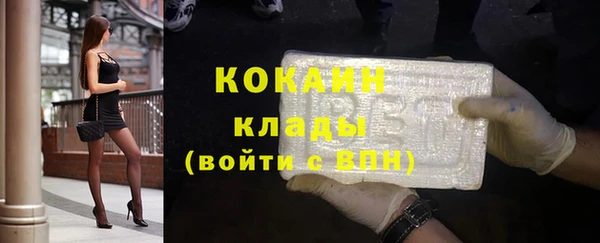 стаф Заводоуковск