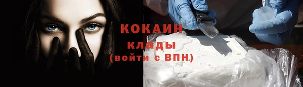 стаф Заводоуковск