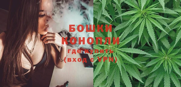 стаф Заводоуковск