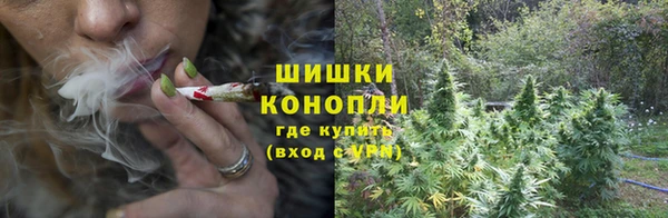 стаф Заводоуковск