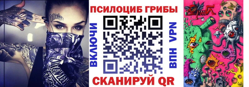 Купить закладки  Свирск  Псилоцибиновые грибы GOLDEN TEACHER 